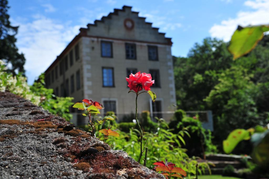 La Forge de Montolieu Bed and Breakfast Esterno foto