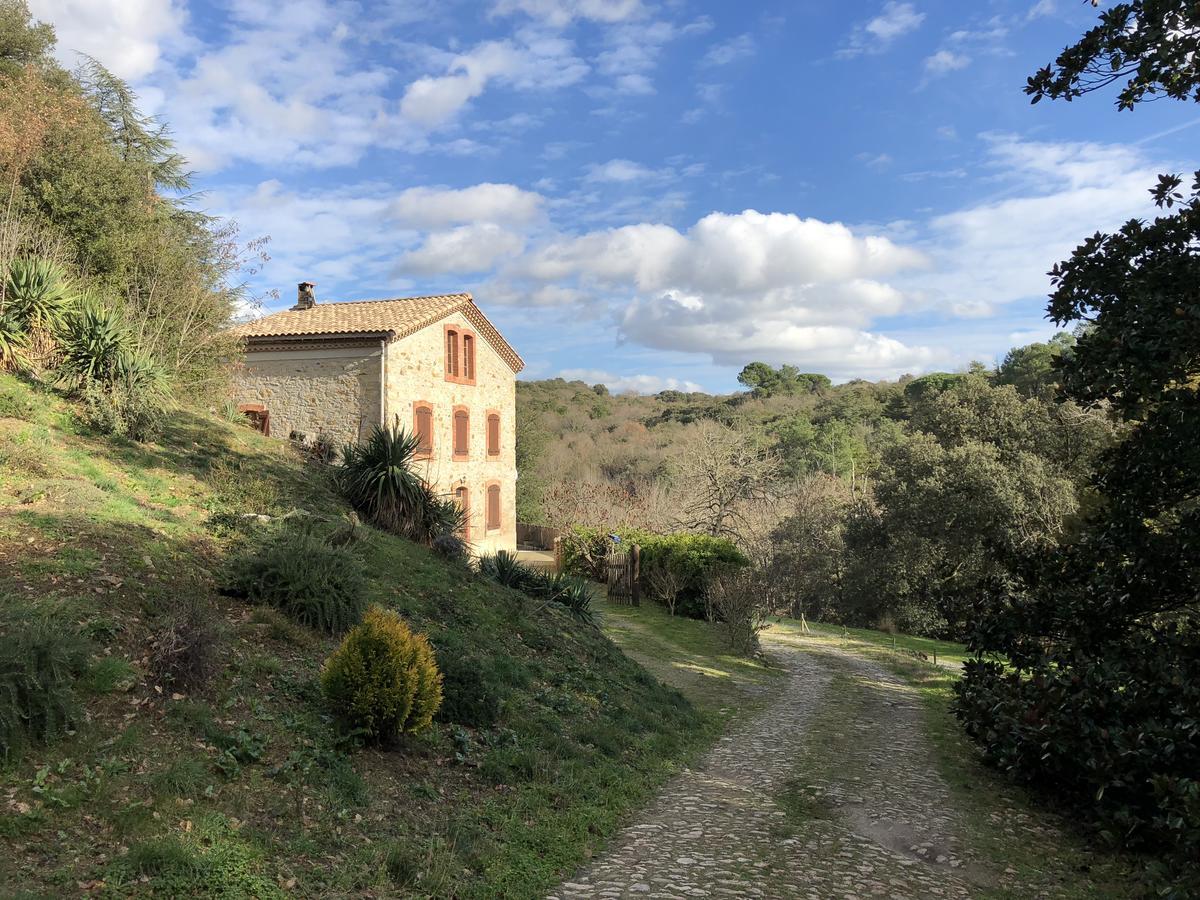 La Forge de Montolieu Bed and Breakfast Esterno foto